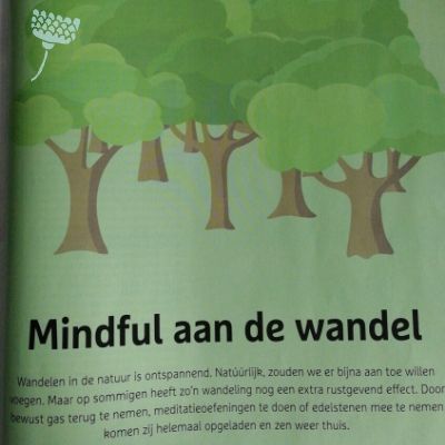 Cover wandeltijdschrift met grafische bomen