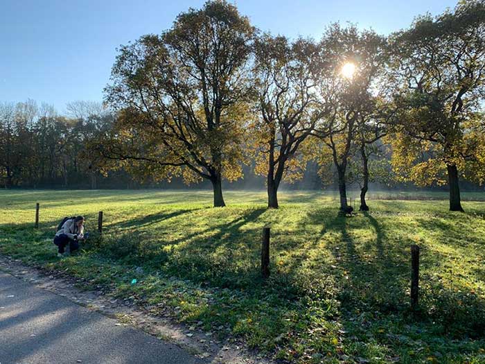 bosdbadwandeling